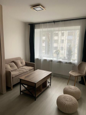 Ezera Solo tiny apartment, Riga